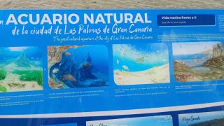 GC-Paseo Las Canteras (Las Palmas) 2026-116.jpg